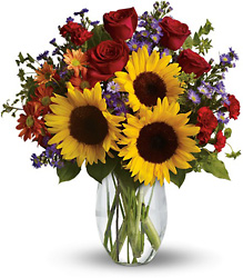 Pure Happiness from Metropolitan Plant & Flower Exchange, local NJ florist